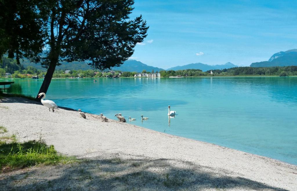 Pension Stissen Haus Am See Faak am See Exterior foto